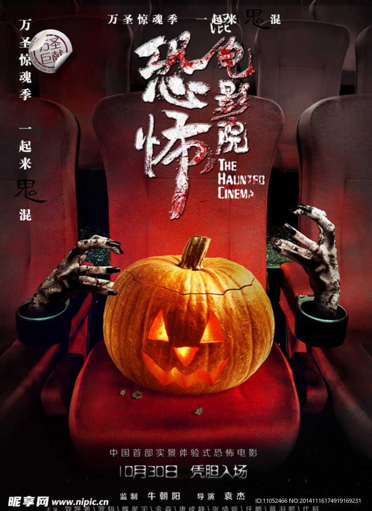 快节奏政坛新人